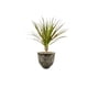 thumbnail image 3 of Maceta Hormigon Arcilla Plantas Jardin Cesped Adorno Lau, 3 of 3