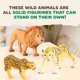 thumbnail image 4 of Set de juguetes para animales Terra de Battat Wild Life con tigre y león para niños mayores de 3 años, 4 of 8