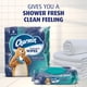 thumbnail image 3 of Toallitas desechables Charmin 480 en total (12 paquetes de 40), 3 of 8