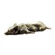 thumbnail image 1 of Mini Escultura De Perro Corgi Galés De Cobre De 3,2x1,2x0,6 Pulgadas Para Decoración Interior De Coche, 1 of 3