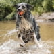 thumbnail image 3 of Juguete para perros Chuckit! Ultra Ball, tamaño grande, para perros de 27 a 45 kg, 3 of 3