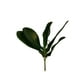 thumbnail image 2 of Hoja De Orquidea 28cm Artificial, 2 of 3