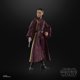 thumbnail image 4 of Figura de acción STAR WARS The Black Series Padmé Amidala 15cm, 4 of 8