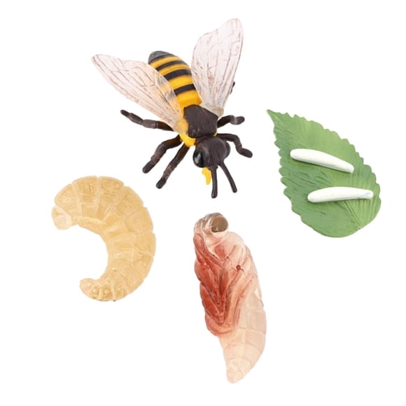 Ciclo De Vida De Los Juguetes De Abejas, Materiales Didácticos, Rompecabezas, Juego De Ciclo De Crecimiento Animal