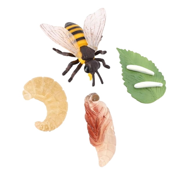 Ciclo De Vida De Los Juguetes De Abejas, Materiales Didácticos, Rompecabezas, Juego De Ciclo De Crecimiento Animal
