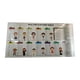thumbnail image 1 of Tabla De Multiplicar Interactiva Con Hojas De Borrado Para Niños Maestros, 1 of 5
