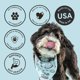 thumbnail image 3 of Masticables blandos probióticos para perros sabor pato The Pets Table, 60 unidades, 3 of 5