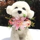 thumbnail image 4 of Diadema de flores para perro, corona de flores para mascotas, tocado de flores, hojas naturales, corona para perros y gatos, decoración de boda, 4 of 5