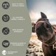 thumbnail image 5 of Pasta para Bienestar Equino Grado Veterinario 113 ml Natural, 5 of 7
