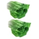 thumbnail image 1 of 2 Unids Artificial LifeLike Fake Fous Vegetal Decoration Props Modelo Green, 1 of 6