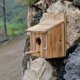thumbnail image 3 of Casa de madera para pájaros NATUREYLWL para pinzones, azulejos y cardenales, 3 of 7