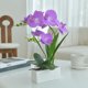 thumbnail image 5 of Orquídea artificial FuleHouzz 38 cm morada con jarrón de cerámica, 5 of 7
