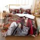thumbnail image 1 of Rurouni Kenshin Bedding Set Single Twin Full Queen King Size Bed Set Aldult Kid Bedroom Duvetcover Sets 3D Print Anime Bed Sheets, 1 of 5