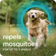 thumbnail image 5 of Sergeant's Pulgas y Garrapatas +30 kg – Suministro de 3 Meses, 5 of 7