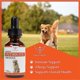 thumbnail image 3 of Antibióticos naturales para perros Life of Health, 3 of 8