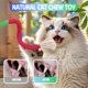 thumbnail image 3 of Juguetes para gatos GBSYU, cuerda masticable y palitos de matatabi, 4 piezas, 3 of 7