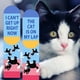 thumbnail image 4 of Calcetines AGRIMONY Funny Cat I Can't Get Up Right Now para mujer, 4 of 7