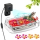 thumbnail image 1 of Alimentador para colibríes con cámara inteligente 2K Freeseason IP65, 1 of 9