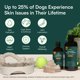 thumbnail image 5 of Aceite de pescado Supplement Wuffes Advanced Omega 3 para perros, 240 ml, 5 of 7