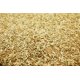 thumbnail image 2 of Semilla de Pasto Eretz ProTurf Raigrás Perenne 2.25 kg, 2 of 5