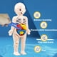 thumbnail image 3 of Kid Montessori 3D Puzzle, Human Body Anatomy Model Educational Learning Organ Assembled Toy, Body Organ Teaching Tool For Children, 3 of 4