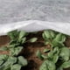 thumbnail image 2 of Barrera de plagas de la red de jardín, red fina de insectos de 10x20 pies para plantas vegetales frutas flores cultivos cubierta de la fila del invernadero cubierta de la red de protección d, 2 of 3