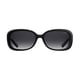 thumbnail image 2 of Lentes De Sol Modelo PLD 4069/G/S/X, 2 of 2