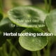 thumbnail image 5 of Hidrocoloide Spot Pyunkang Yul PKY Calming Clear 145, 5 of 9