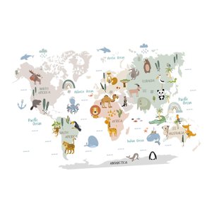 Magideal - Animal World Pegatinas De Pared Murales De Pared Para Niños Arte De Pared De Dibujos Animados Educativos Decoración De Pared De Animales Para Niño