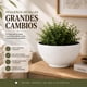 thumbnail image 3 of Macetero Plastico Semi Esfera Premium Diseño a Rayas S blanco, 3 of 9