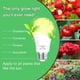 thumbnail image 2 of Bombilla Grow Light Wiyifada A19 de espectro completo de 9 W para plantas de interior, 2 of 7