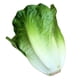 thumbnail image 3 of vívida lechuga artificial juguete imitación comida hogar tienda gabinete exhibición decoración, 3 of 3