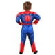 thumbnail image 5 of Disfraz para niño pequeño Jazwares Marvel Spider-Man con traje musculoso, 5 of 6