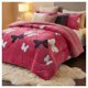 thumbnail image 4 of Cobertor Chiporro Invierno 1.5 Plazas - Fucsia Mariposa TFYH55, 4 of 5