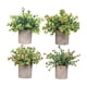 thumbnail image 2 of 4 Piezas De Pequeñas Plantas Falsas En Macetas Pequeñas Para Estante De Escritorio Estilo Hogareño, 2 of 5