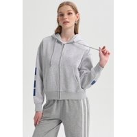 Fashionspark - Polerón Mujer Print Mangas Full Gris Melange