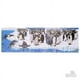 thumbnail image 3 of Puzzle Pinguino 108 Piezas + Figuras, 3 of 3