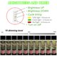 thumbnail image 4 of Plant Grow Light Yadoker Full Spectrum para plantas de interior, paquete de 2, 4 of 5