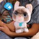 thumbnail image 4 of Furreal Wag-A-Lots Kitty, 4 of 5