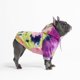 thumbnail image 1 of Sudadera con capucha para perro Spark Paws, suave como mantequilla, 1 of 7