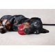 thumbnail image 2 of Juguete para perros Pet Qwerks Blinky Babble Ball – Tamaño grande, 2 of 5