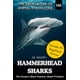 thumbnail image 1 of Libro Tiburones martillo: el depredador más intrépido del océano, 1 of 1