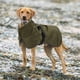 thumbnail image 2 of Abrigo para perros - Chaqueta impermeable de invierno con interior de terciopelo, tira reflectante, verde, XXL, 2 of 3