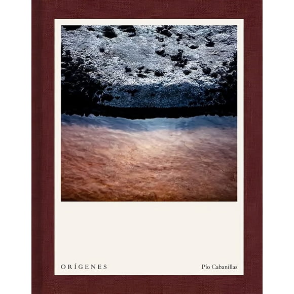 LIBRO Origenes - José Manuel Valenzuela Arce