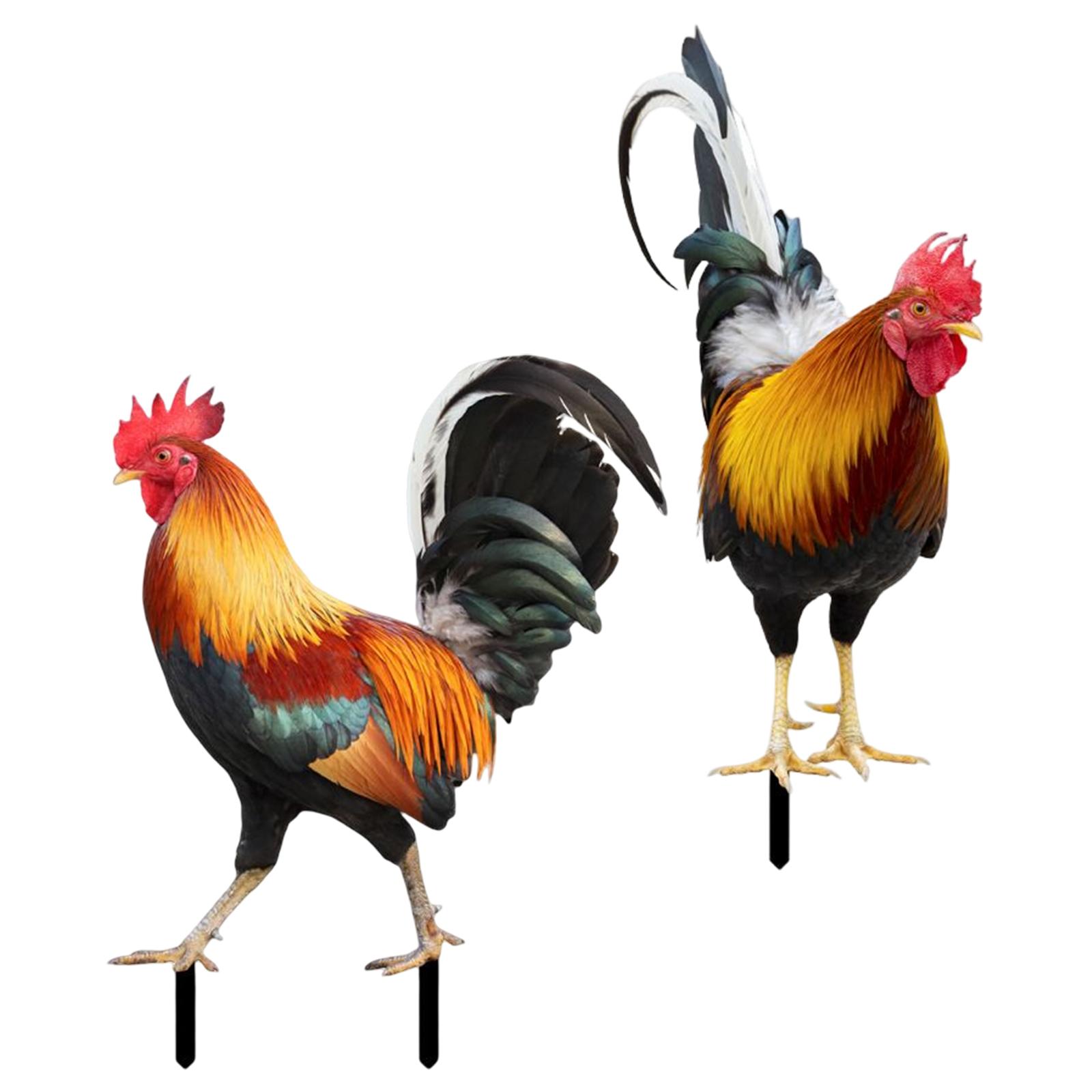 Ioensy - Gallo Animal Estatua Pollo Escultura Para Camino Patio Césped Patio Estilo A Y Estilo B