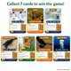 thumbnail image 5 of Juego de cartas educativo Skillmatics Adivina en 10 Animales, 5 of 9