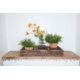 thumbnail image 2 of Carrito de almacenamiento decorativo Flat Wood TX USA Corporation, 2 of 2