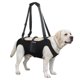 thumbnail image 1 of Arnés de elevación para perro INKNOTE XL con bolsillo de cuerpo completo, 1 of 7