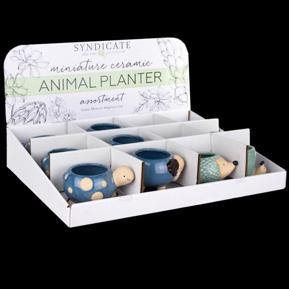 Maceta para suculentas Avera Products, cerámica, surtido de animales (paquete de 12)