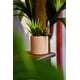 thumbnail image 2 of Planta Suculenta Artificial en Macetero Blanco 18 CM, 2 of 2